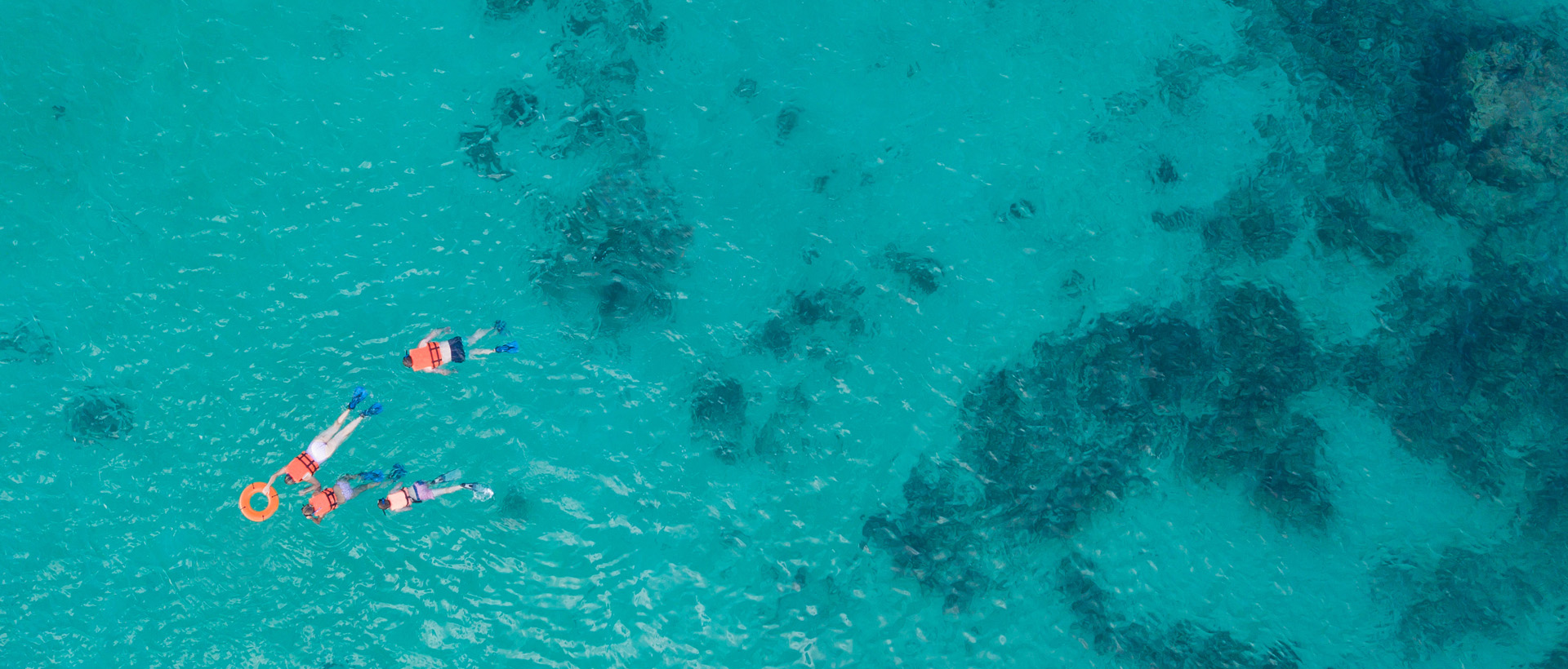 Discover the Clearest Water Beaches in Mexico: A Hidden Paradise in Punta de Mita