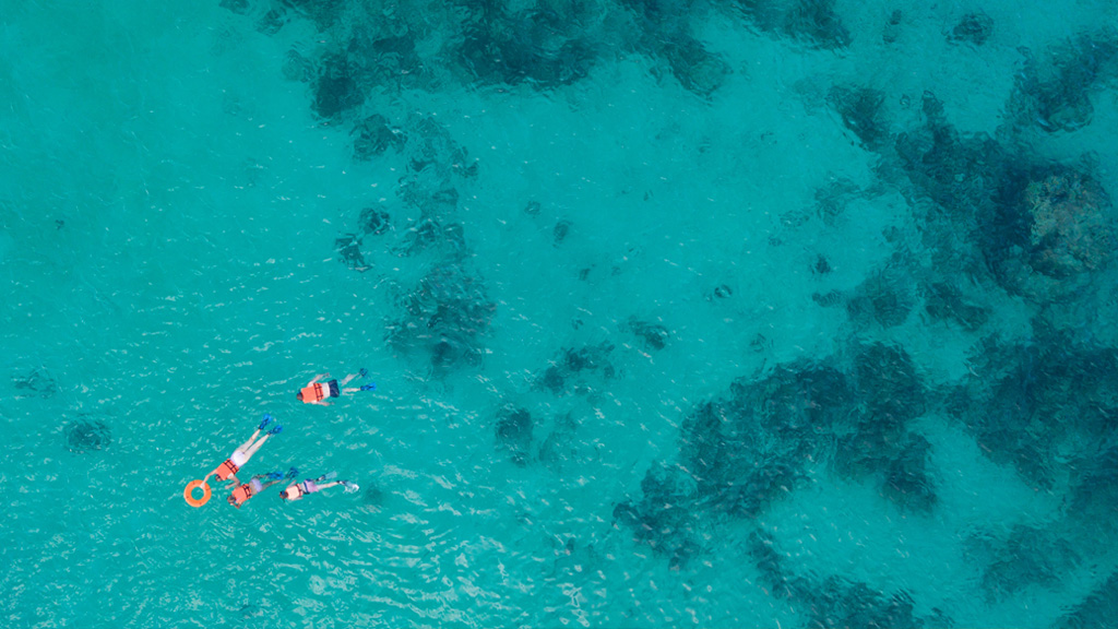 Discover the Clearest Water Beaches in Mexico: A Hidden Paradise in Punta de Mita