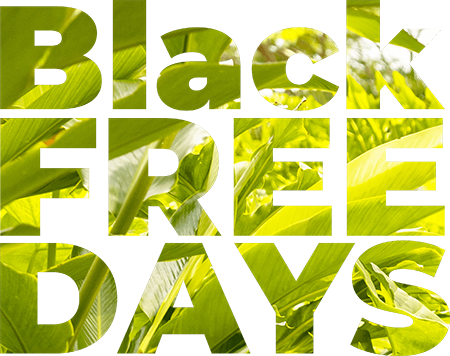 Black FREEDays Punta de Mita, México