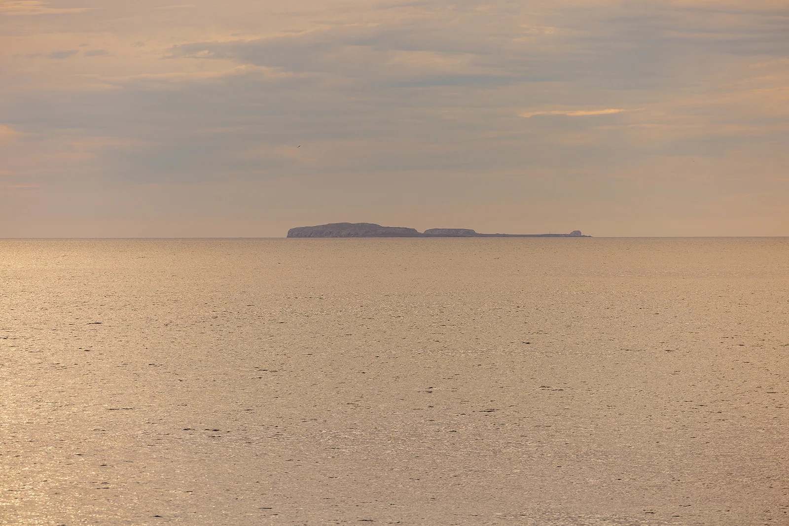 Al Fresco Restaurant Armony Luxury Resort & Spa