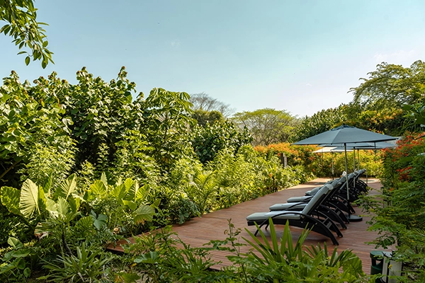 Gallery Armony Marival Resort & Spa Punta de Mita – MGallery Collection