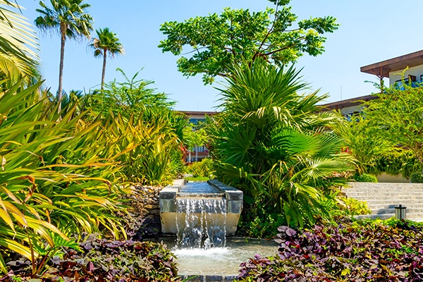Gallery Armony Marival Resort & Spa Punta de Mita – MGallery Collection