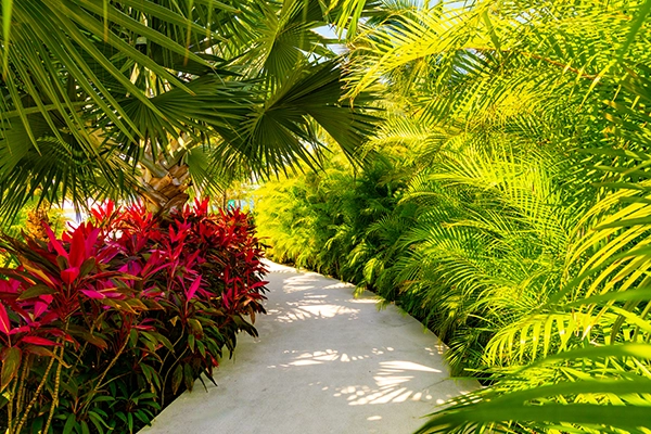 Gallery Armony Marival Resort & Spa Punta de Mita – MGallery Collection