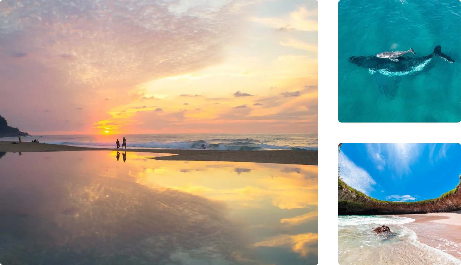 Hot deal 2025 Punta de Mita
