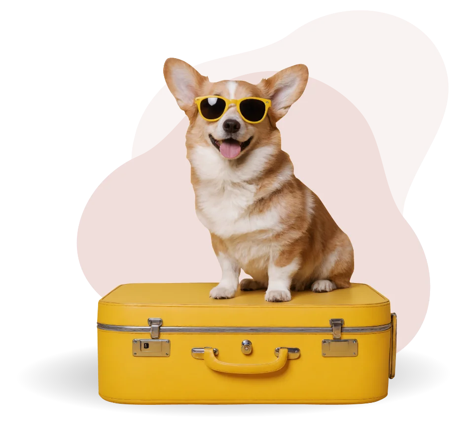 Travel Paws Punta de Mita